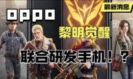 国服木兰爆料视频大全最新,揭秘英雄技能与战术解析