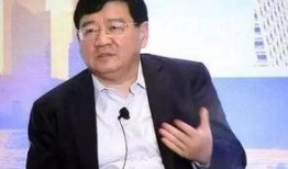 徐小平最新爆料,揭秘创业圈不为人知的内幕与真相