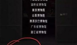 外媒体最新爆料视频播放,揭秘事件真相与幕后黑幕