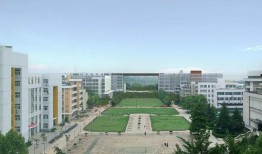 华中大学最新爆料信息,揭秘科研突破背后的故事